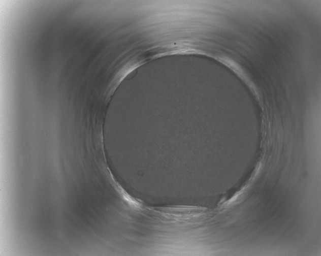 X0000066941289200603271127