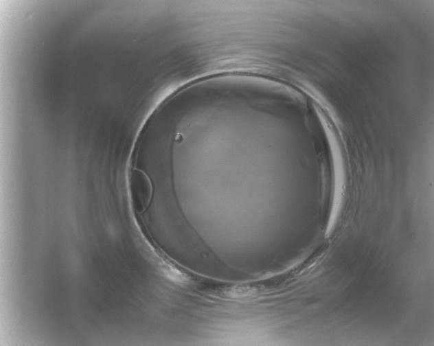 X0000066941291200603271127