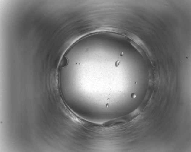 X0000066941292200603271127