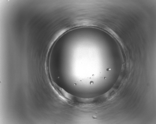 X0000066941293200603271127