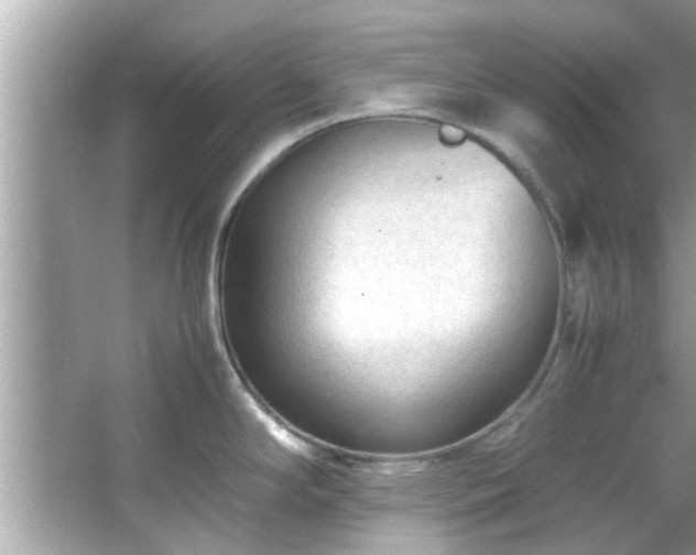 X0000066941294200603271127