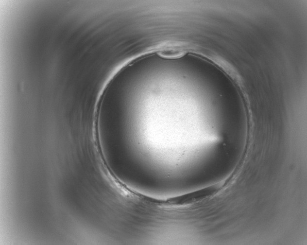 X0000066941296200603271127