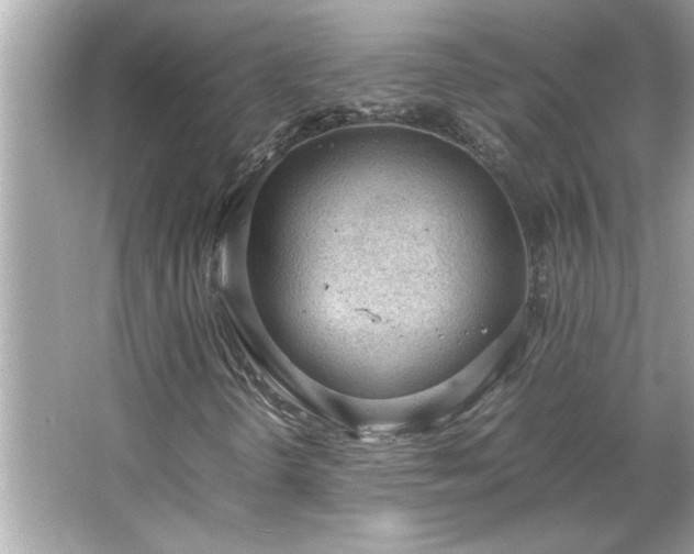 X0000066941298200603271126