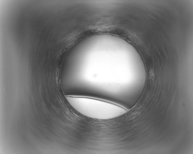 X0000066941300200603271126