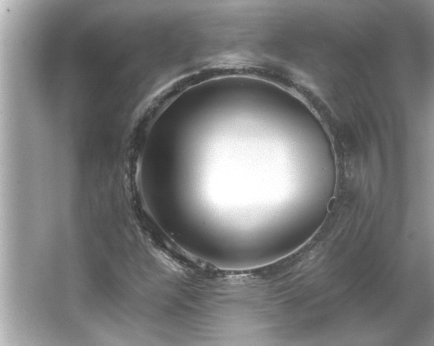 X0000066941304200603271126