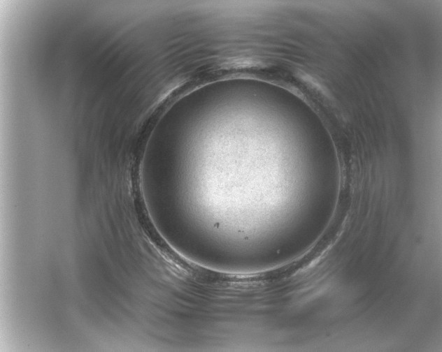 X0000066941305200603271126