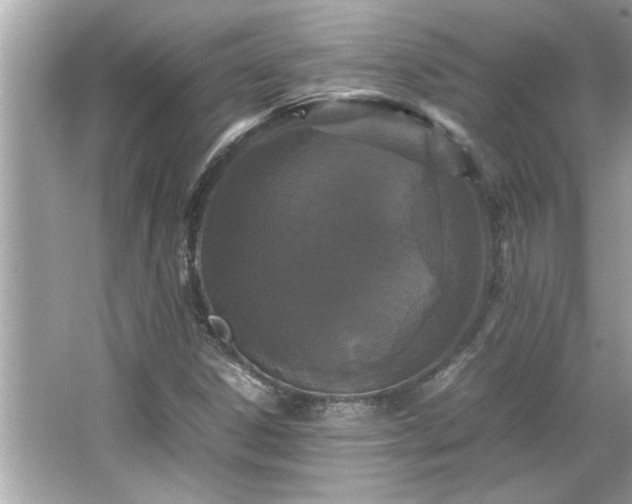 X0000066941306200603271126