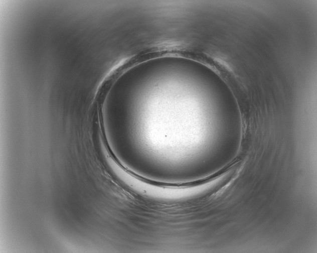 X0000066941309200603271126