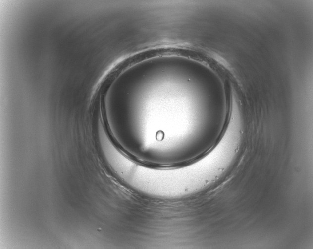 X0000066941310200603271126