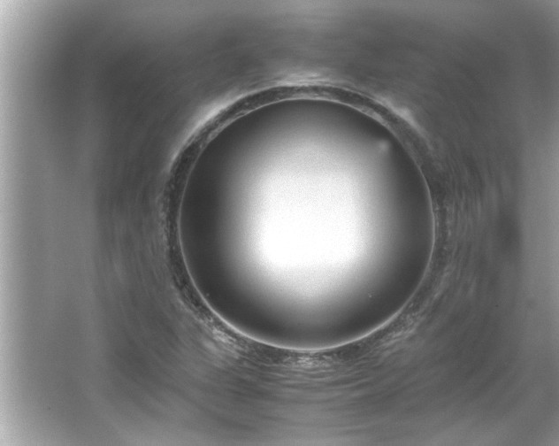 X0000066941311200603271126