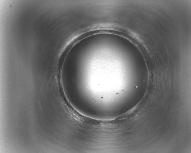 X0000066941312200603271126