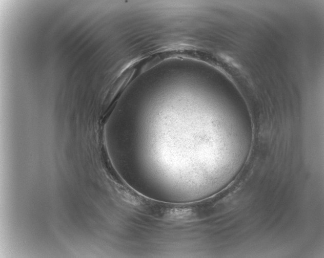 X0000066941313200603271127