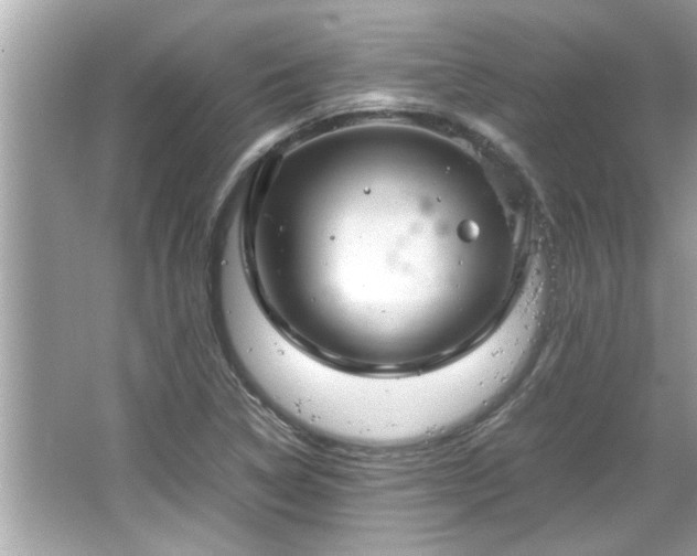 X0000066941314200603271127