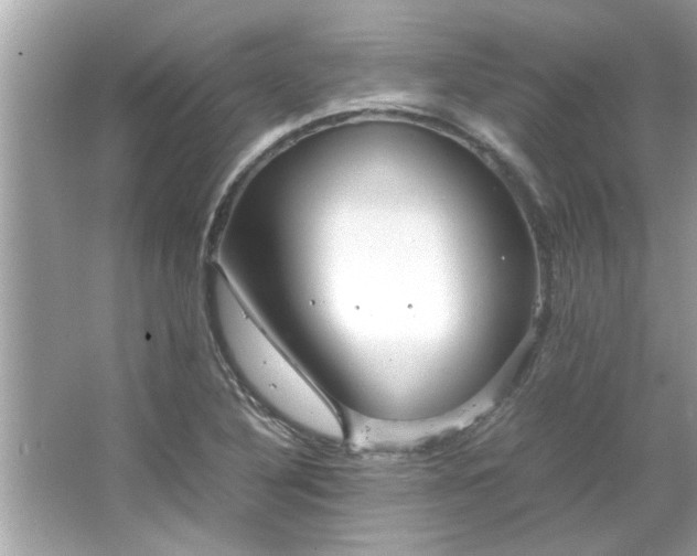 X0000066941316200603271127