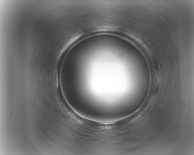 X0000066941317200603271127