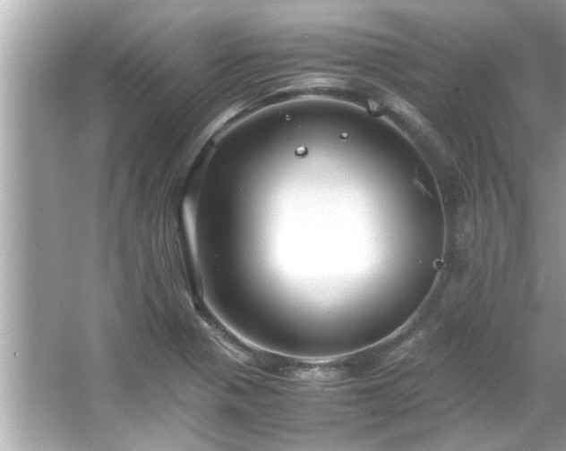 X0000066941321200603271127