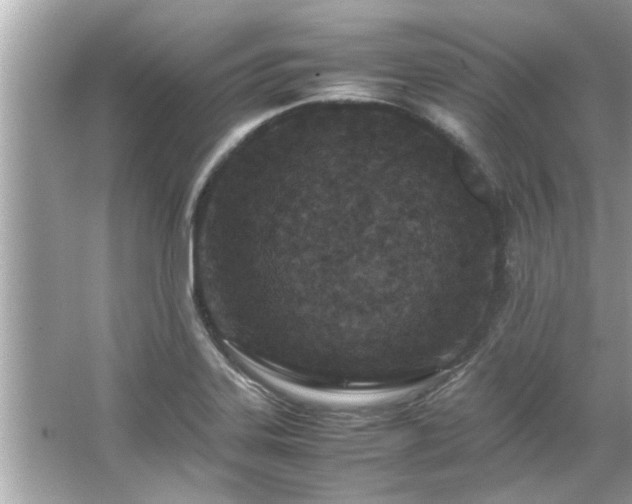 X0000066941323200603271127