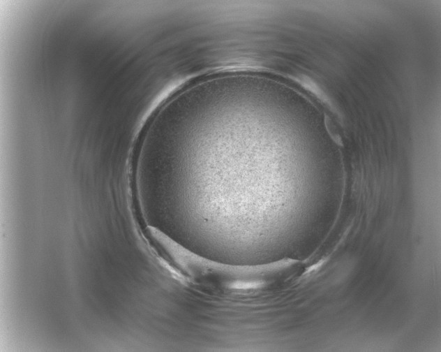 X0000066941325200603271127