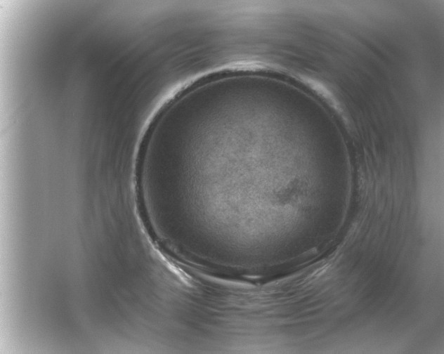 X0000066941327200603271127