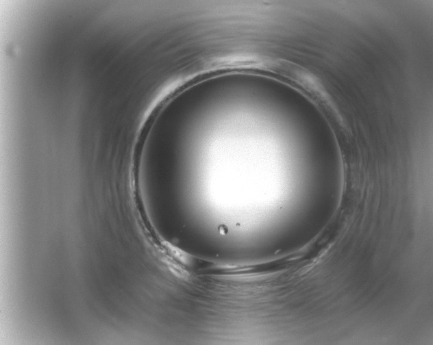 X0000066941328200603271127