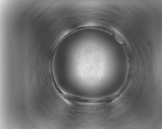 X0000066941329200603271127