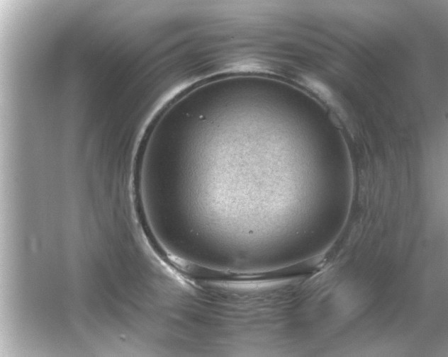 X0000066941331200603271127