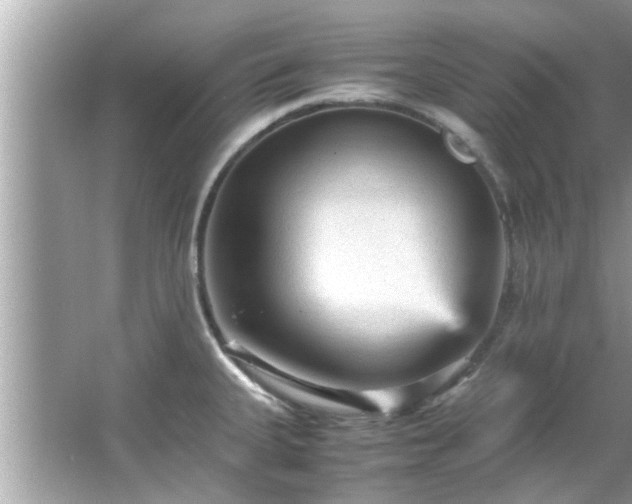 X0000066941335200603271127