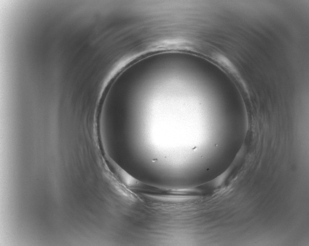 X0000066941336200603271127