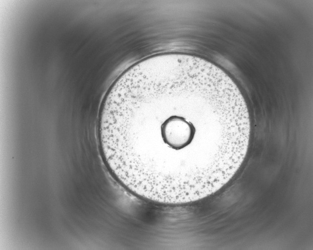 X0000066941338200603271127