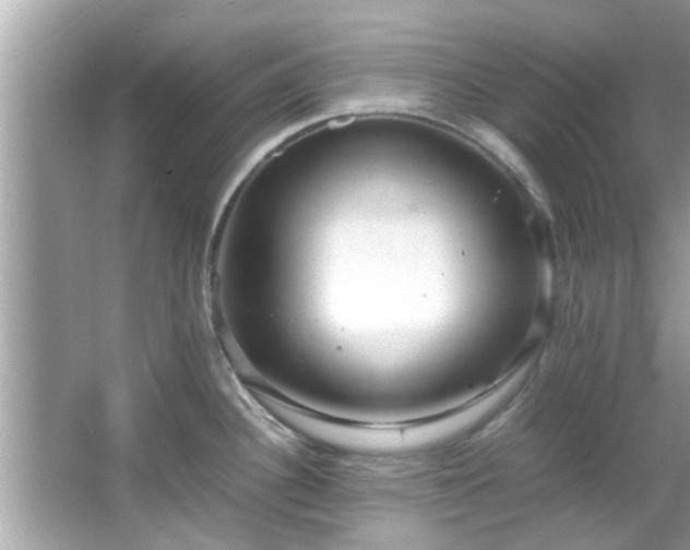 X0000066941340200603271127