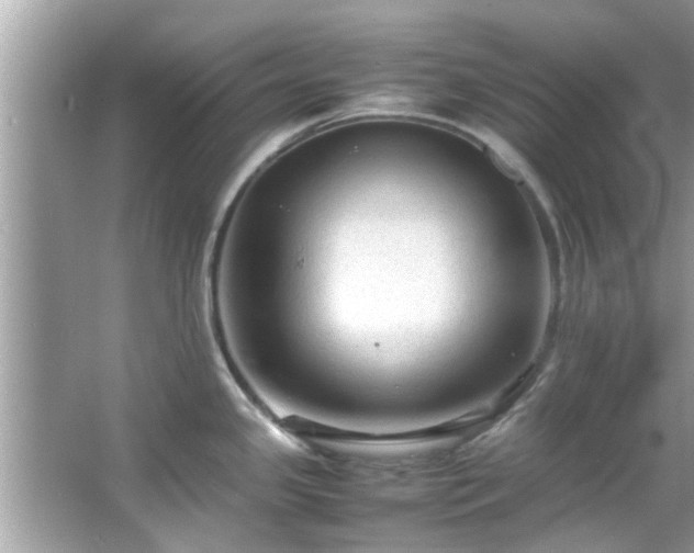 X0000066941341200603271127