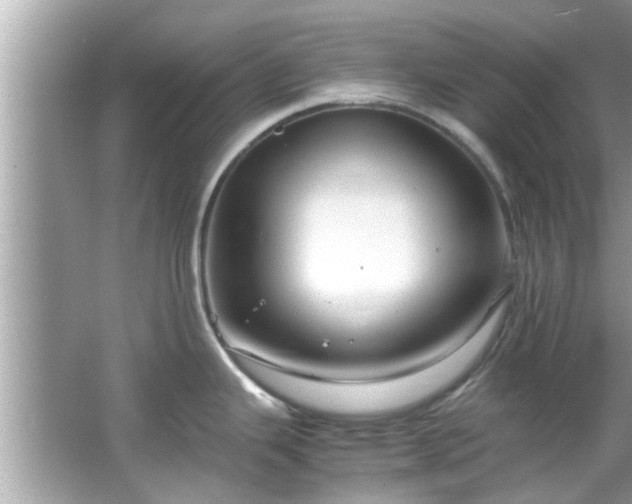 X0000066941343200603271127