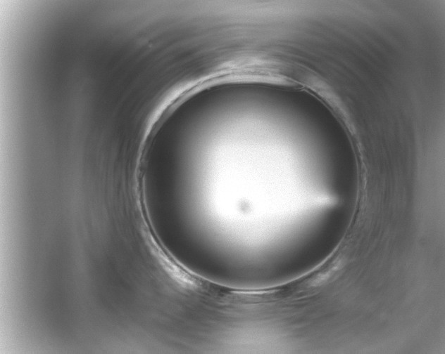 X0000066941344200603271127