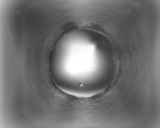 X0000066941345200603271126