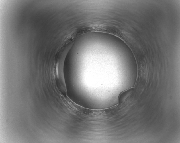 X0000066941346200603271126