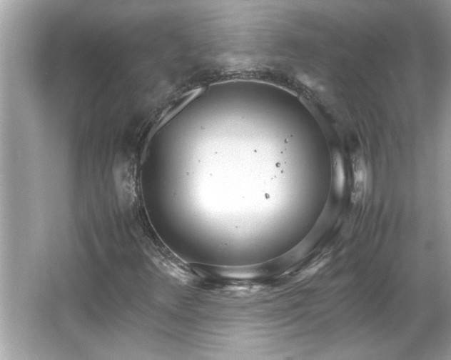 X0000066941348200603271126