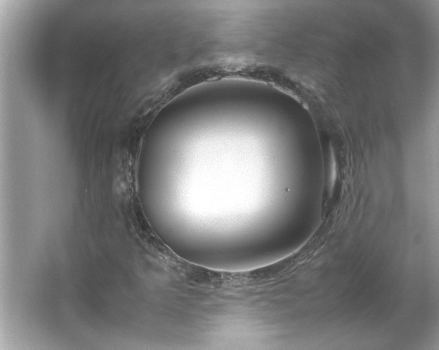 X0000066941349200603271126