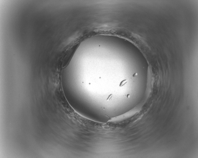 X0000066941350200603271126