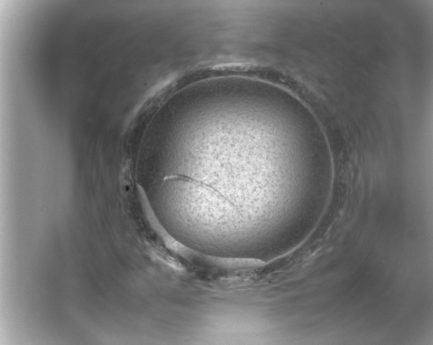 X0000066941351200603271126