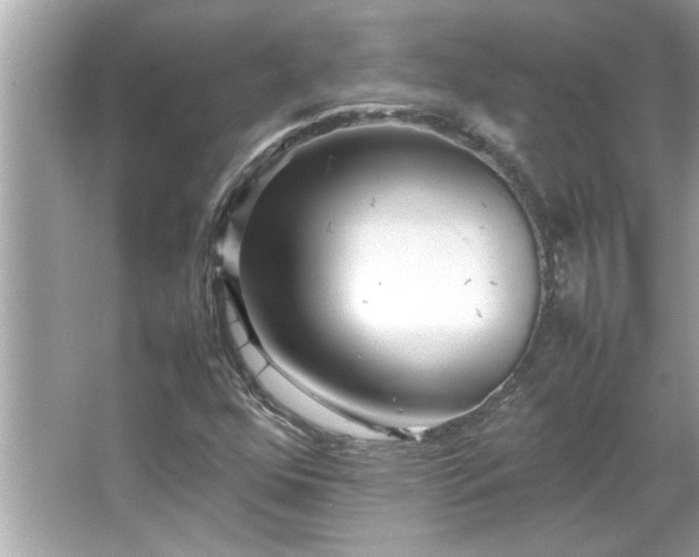 X0000066941352200603271126