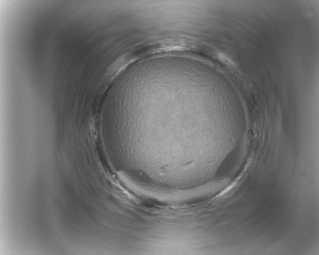 X0000066941353200603271126