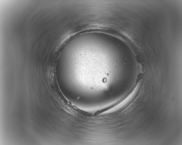 X0000066941355200603271126