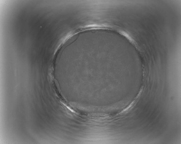 X0000066941357200603271126