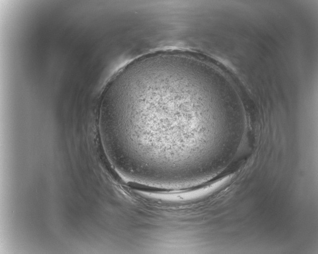 X0000066941359200603271126