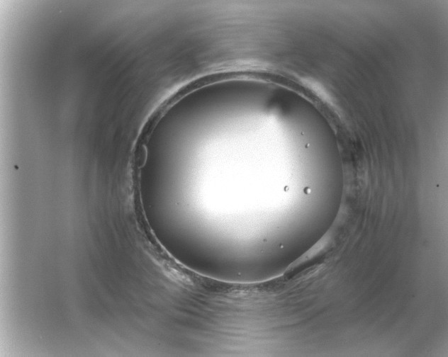 X0000066941364200603271126