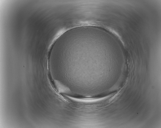 X0000066941365200603271126