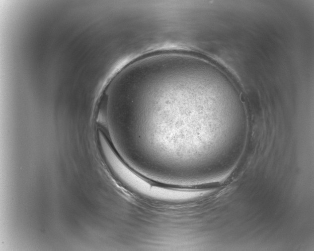 X0000066941367200603271126