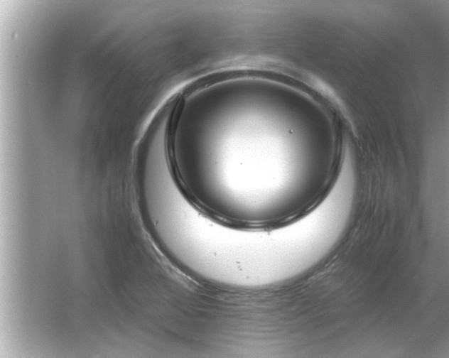 X0000066941368200603271126