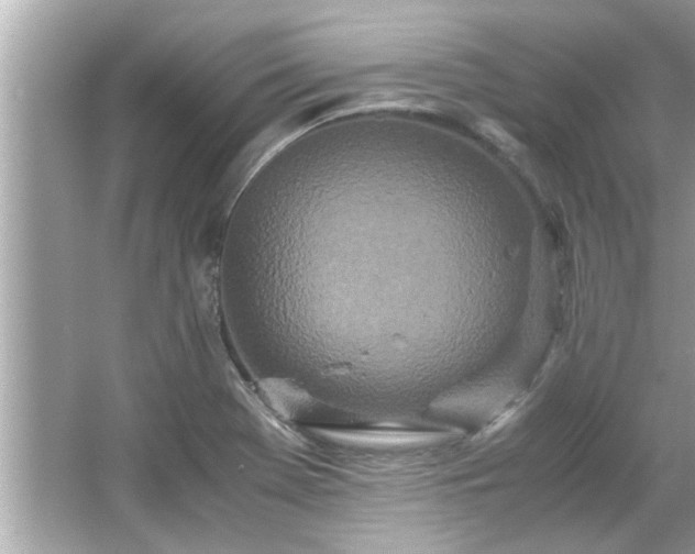 X0000066941369200603271126