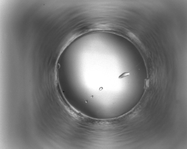 X0000066941370200603271126